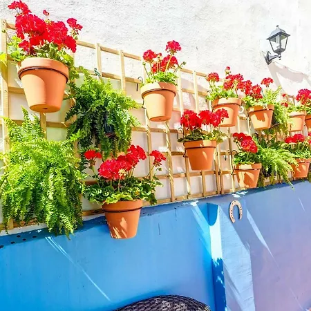 Charming Patio Amazing Location By Hello Homes Apartment Sitges
